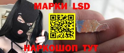 PSILOCYBIN Бугуруслан