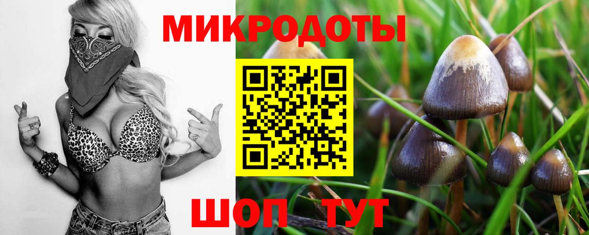 Галлюциногенные грибы Magic Shrooms Сертолово